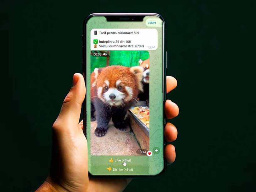 Visualizzare contenuti